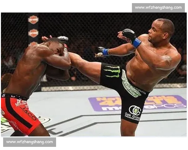 丹尼尔科米尔与凯恩巅峰对决揭示重量级搏击王者真实力