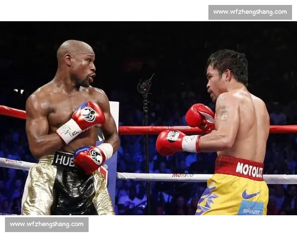 从泰森对决麦克尼利看拳王复出背后的时代冲突与拳坛震荡