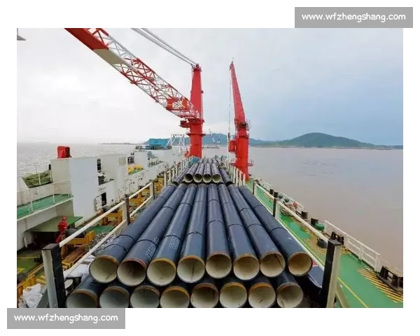 从起源到巅峰的VS厂发展历史与制表工艺全景解析演进与行业影响研究